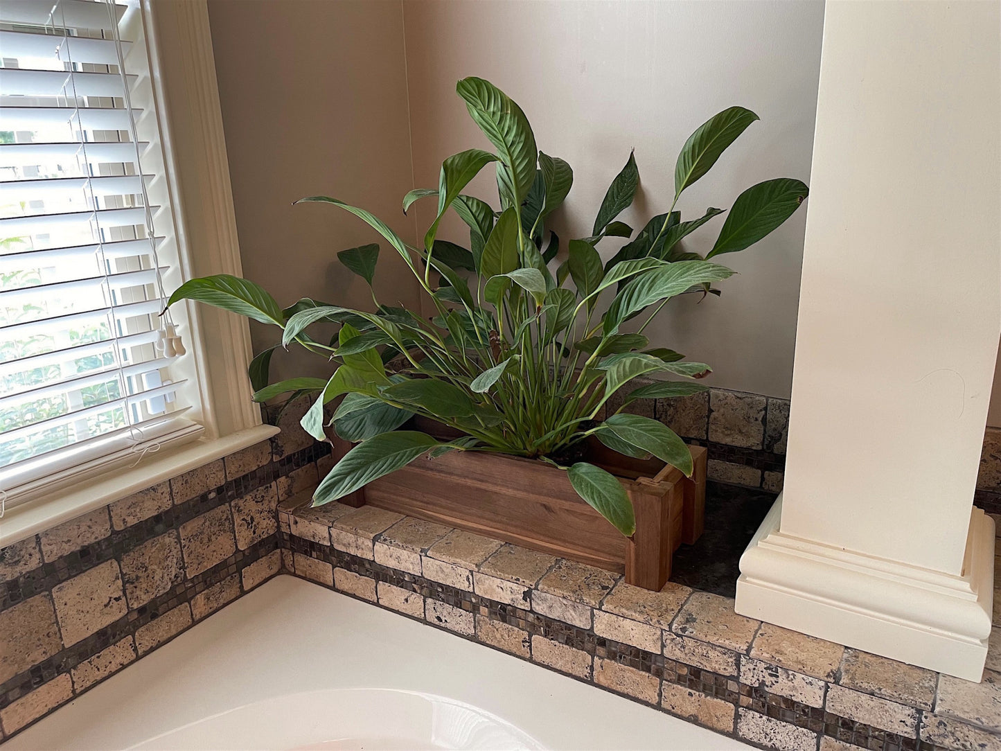24" Premium Hardwood Vegetable and Flower Planter-2