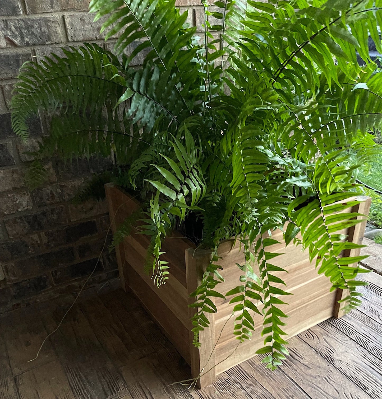 24" Premium Square Hardwood Vegetable and Flower Planter-1